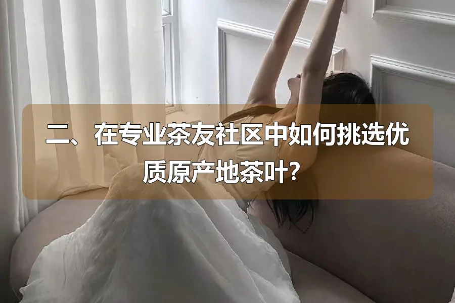 二、在专业茶友社区中如何挑选优质原产地茶叶？